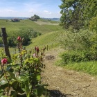 10-f-v065761-Piemonte