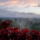 19-f-56882-dimma-over-Chocolate-hills