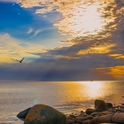 Into the sun