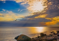 Into the sun
