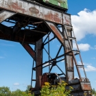 s-06650-Kran-småkrypande fotograf