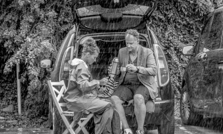 Åretsbild2017-bw1