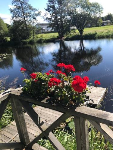 03-blomma