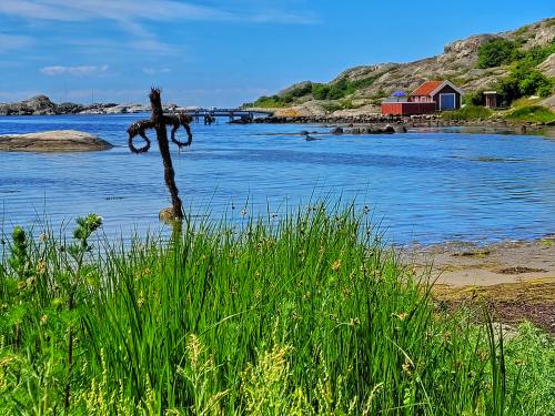 24-Midsommar