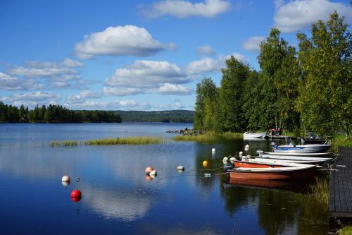 f-11623-batar-i-viken