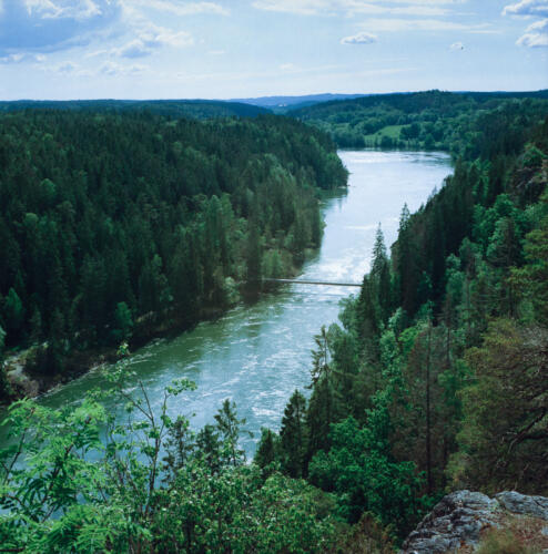 f-50239-Älven 