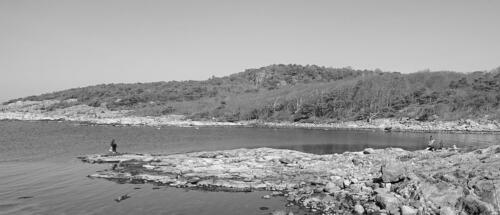 s-25195-Coronavår 